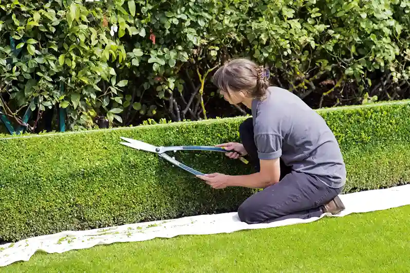 Affordable Garden Maintenance Services Landscaping services pool maintenance services pool cleaning services pool installation services pool construction services pool renovation services automatic irrigation system in Dubai
