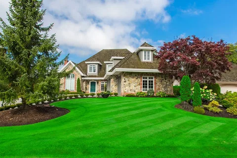 perfect lawn by landscaping and pool service in Dubai
