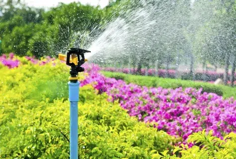 Automatic Irrigation Systems in Dubai Landscaping services pool maintenance services pool cleaning services pool installation services pool construction services pool renovation services automatic irrigation system in Dubai